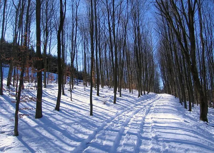 Familias En Santa Leocadia Sainte-Léocadie